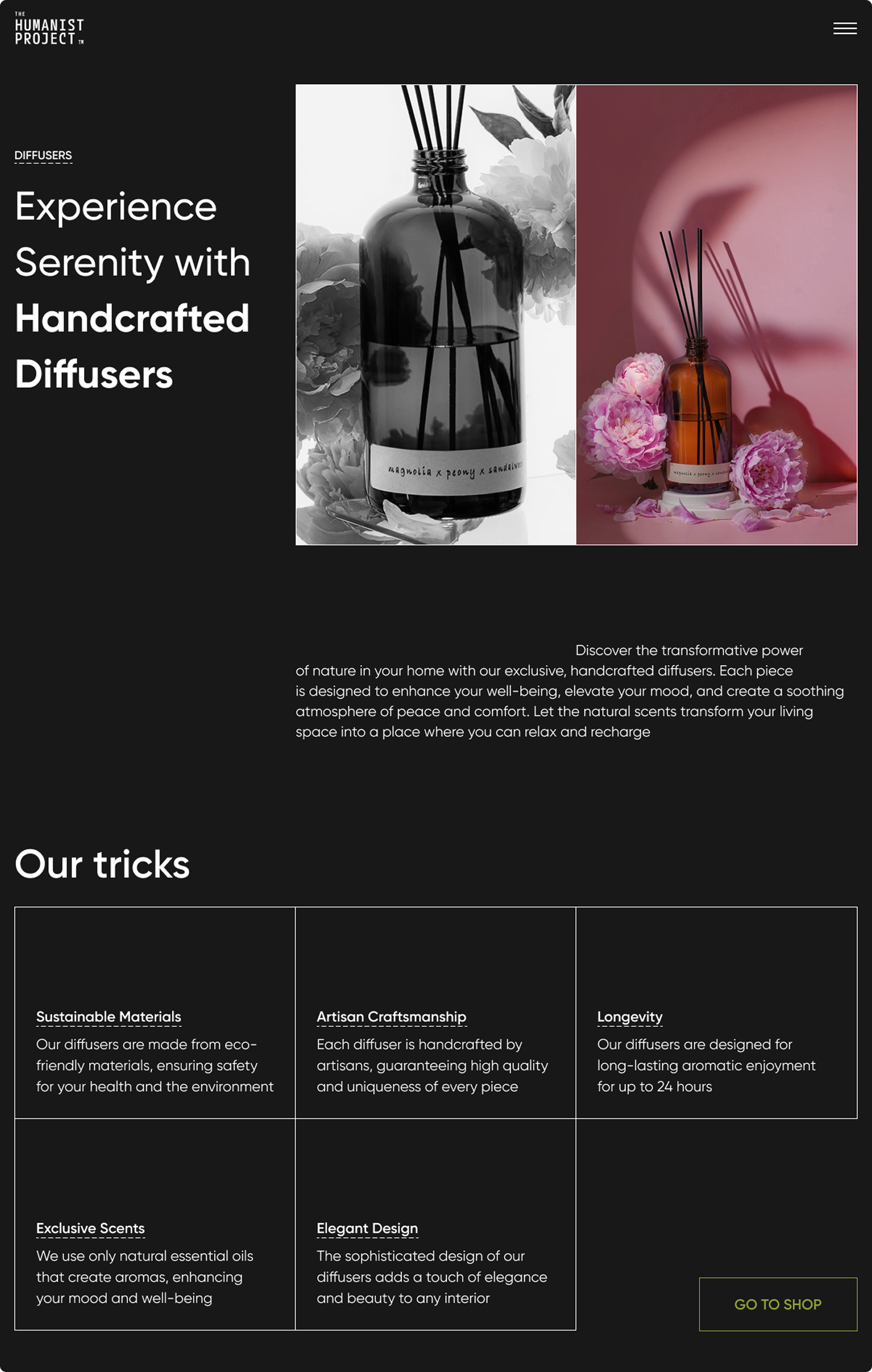 This is a screenshot of my design for the Humanist Project corporate website in LA.